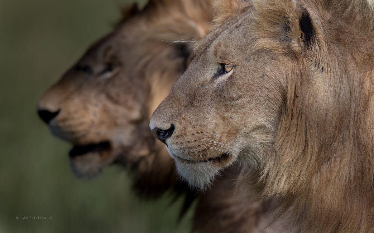 09e855553aafe732885388137ae9061390b068cf (1)